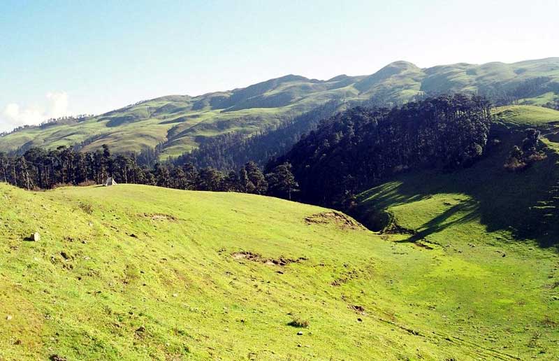 panwali kantha Bugyal Uttarakhand